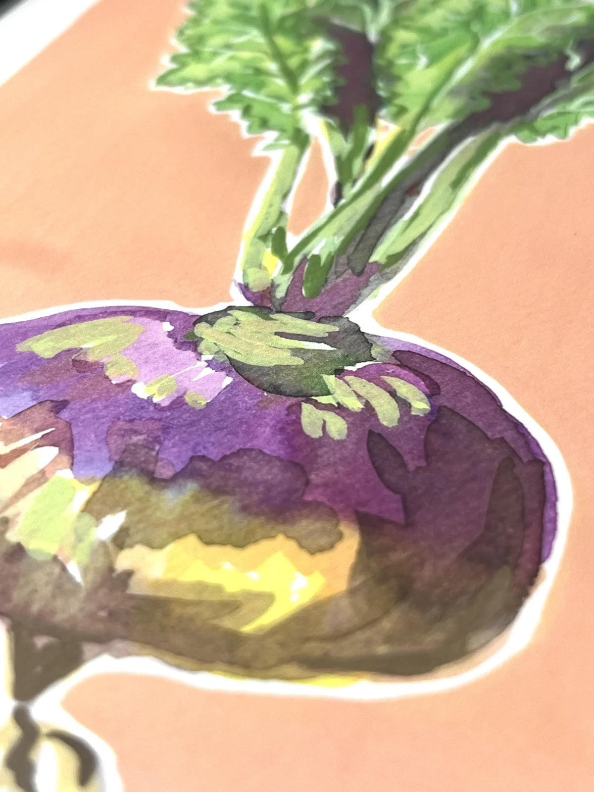 Turnip A5 Art Print
