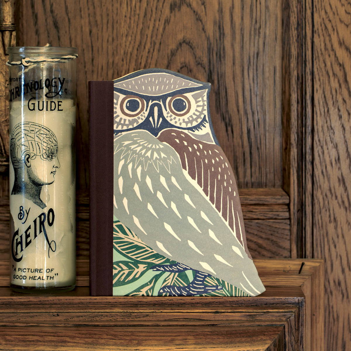 Eclectionary Note Book Owl