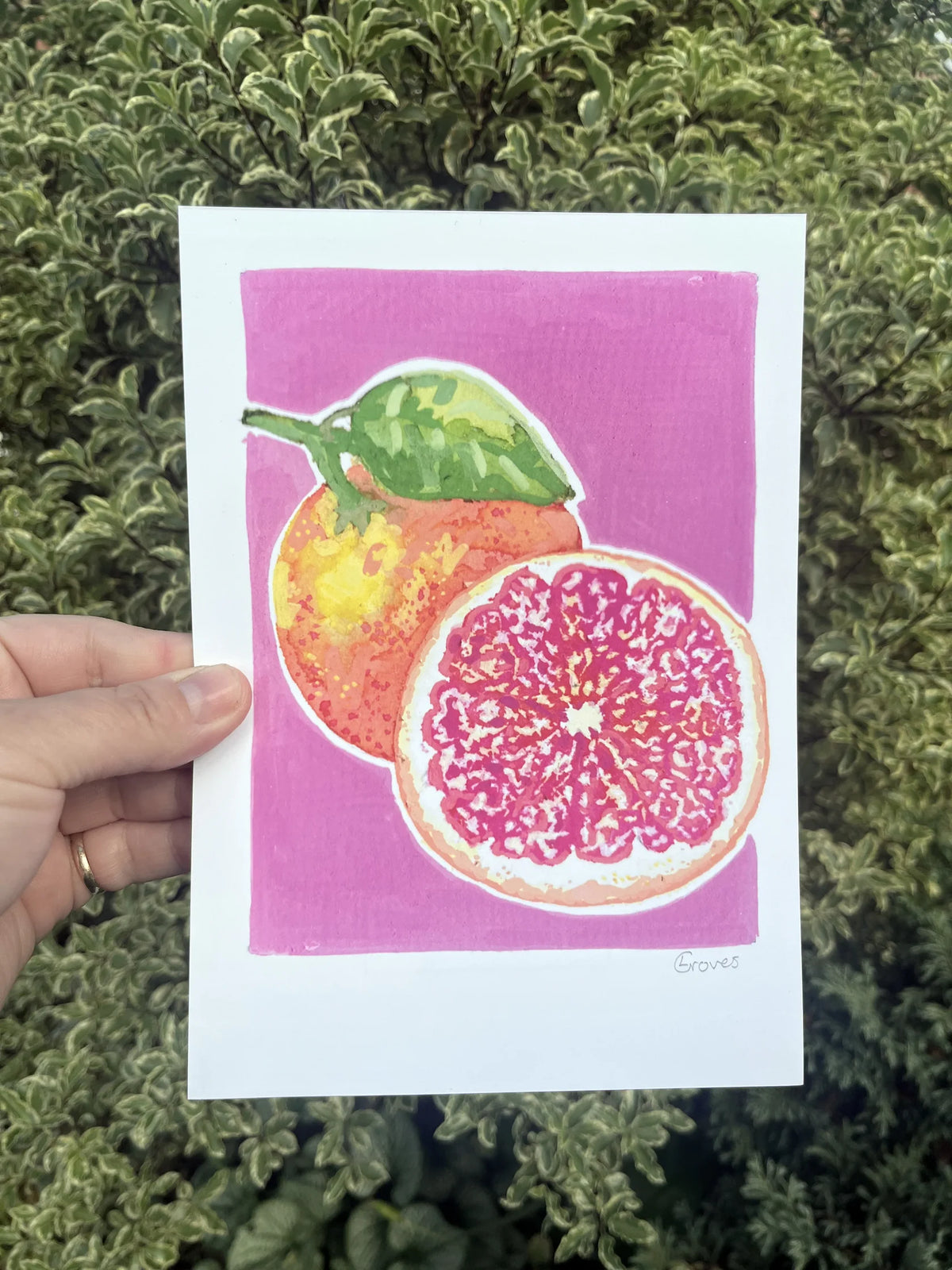 Grapefruit A5 Art Print