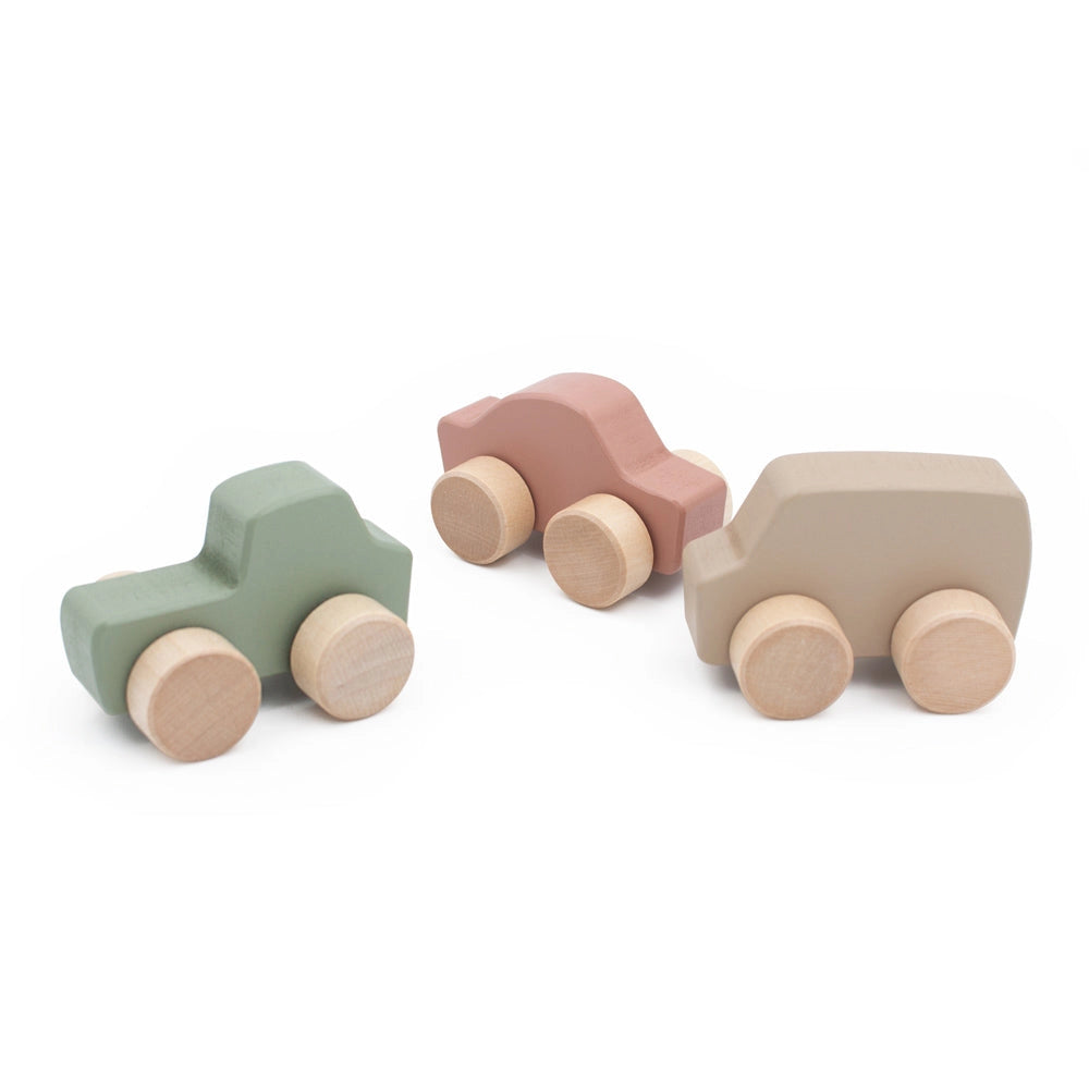 Mini Car Set