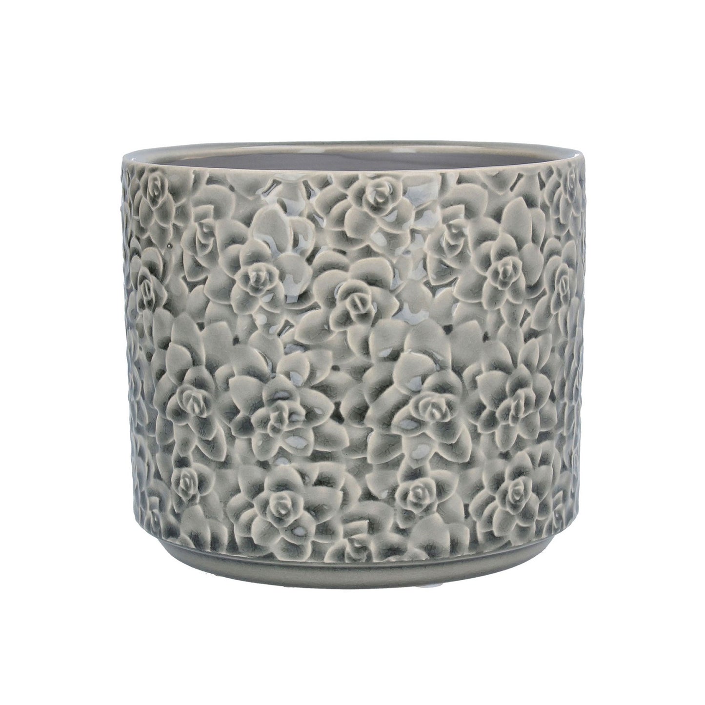 Grey Succulents Ceramic Pot Cover