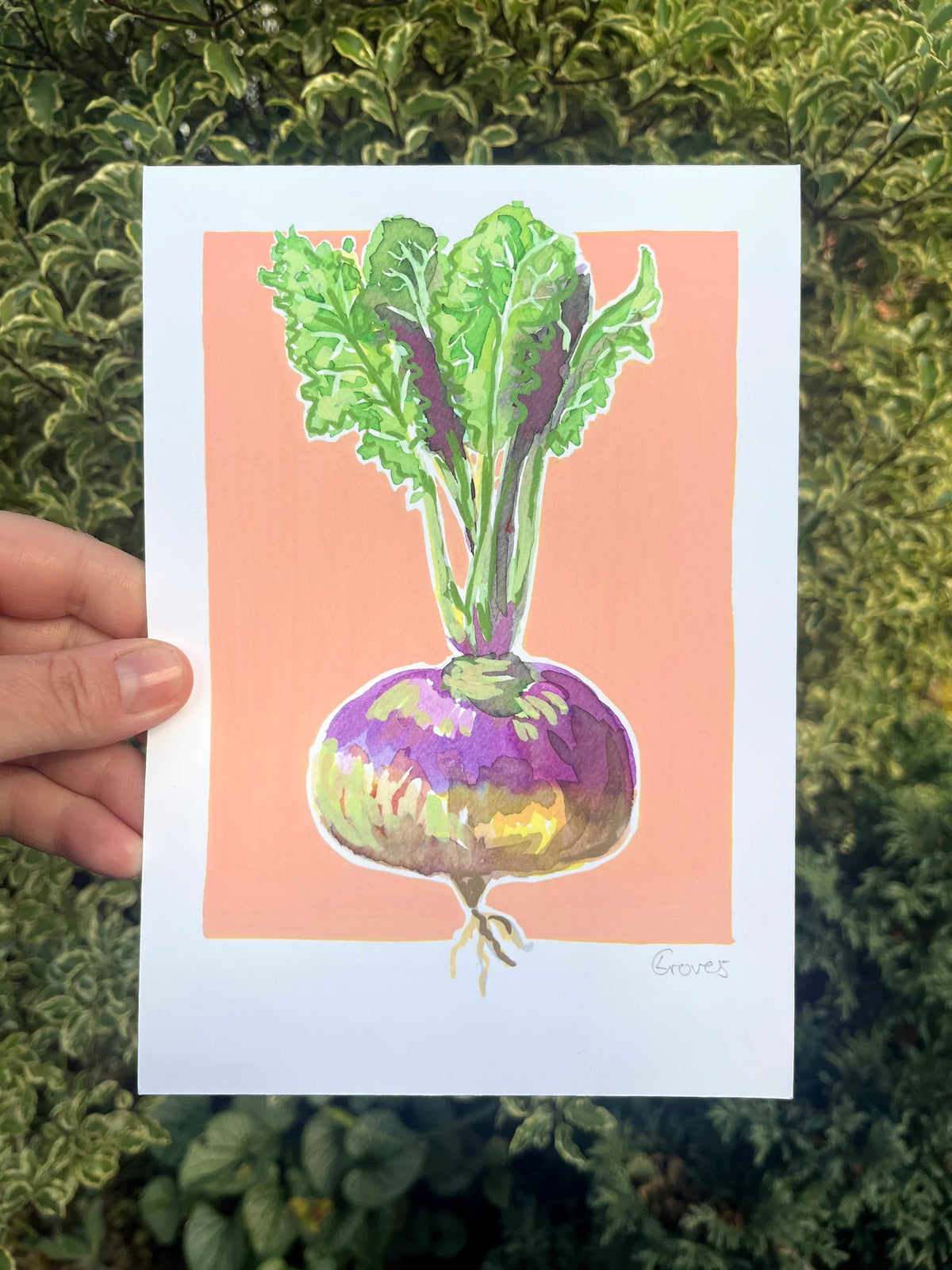 Turnip A5 Art Print