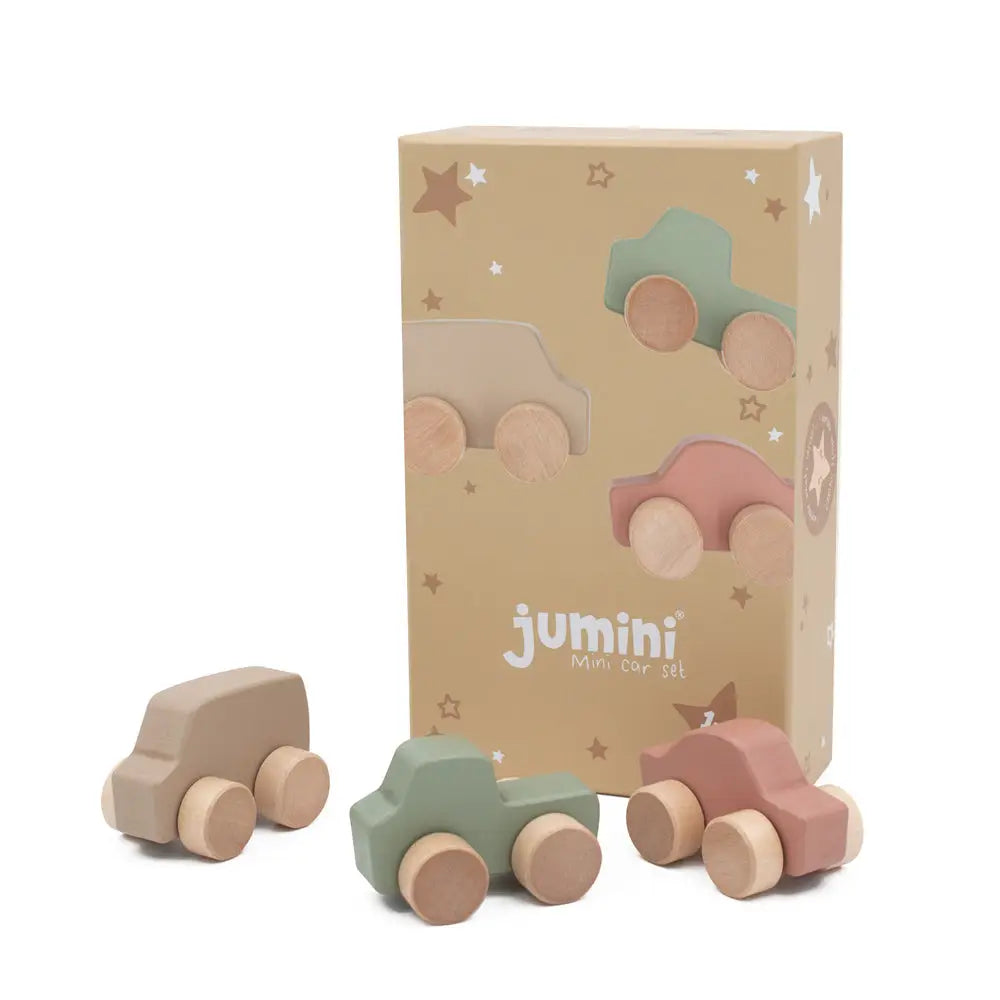 Mini Car Set