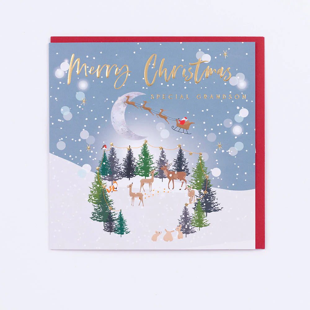 Special Grandson Christmas Greetings Card