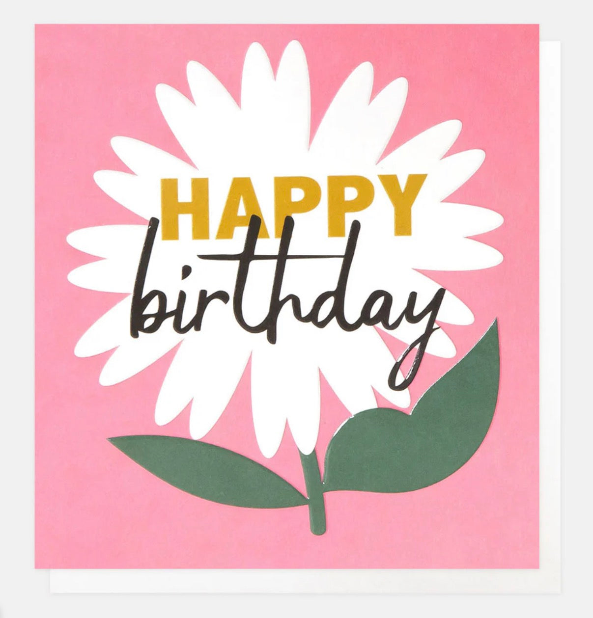 Daisy Happy Birthday Greetings Card