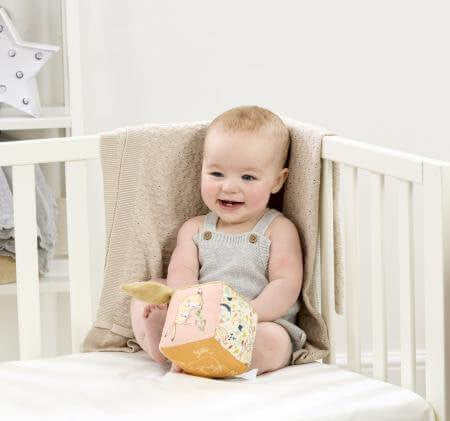 Guess How Much I Love You Activity Cube