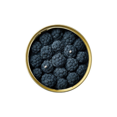 CandleCan Cinnamon Blackberry Candle