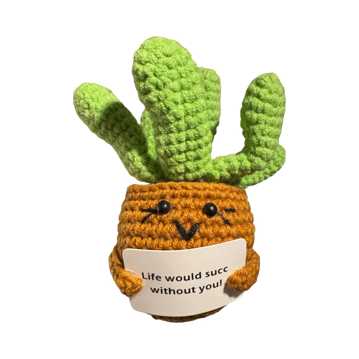Knitted Positive Succulent