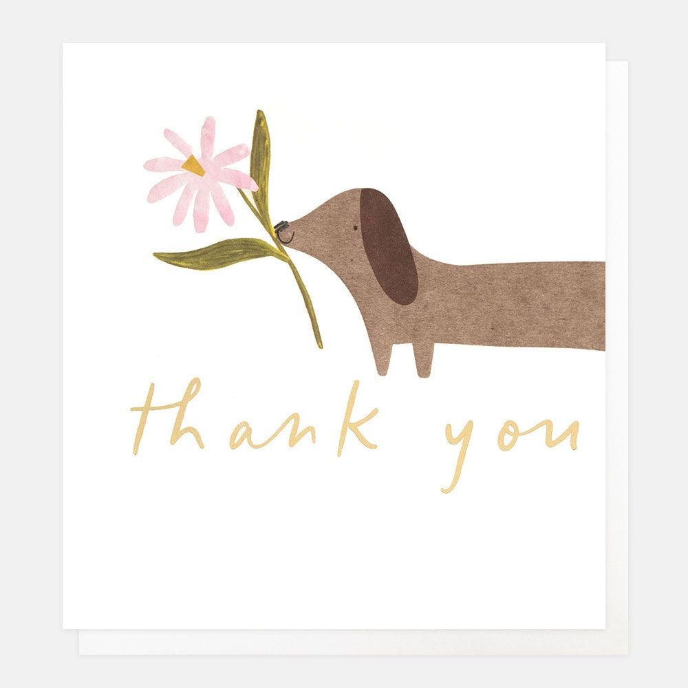 Sausage Dog & Flower Thank You Greetings Card