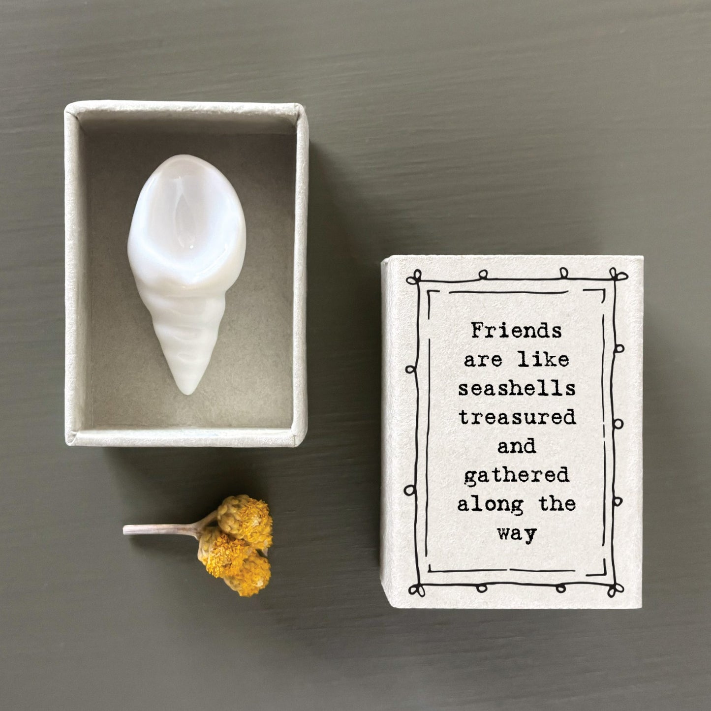 Friends Are Like Matchbox Shell