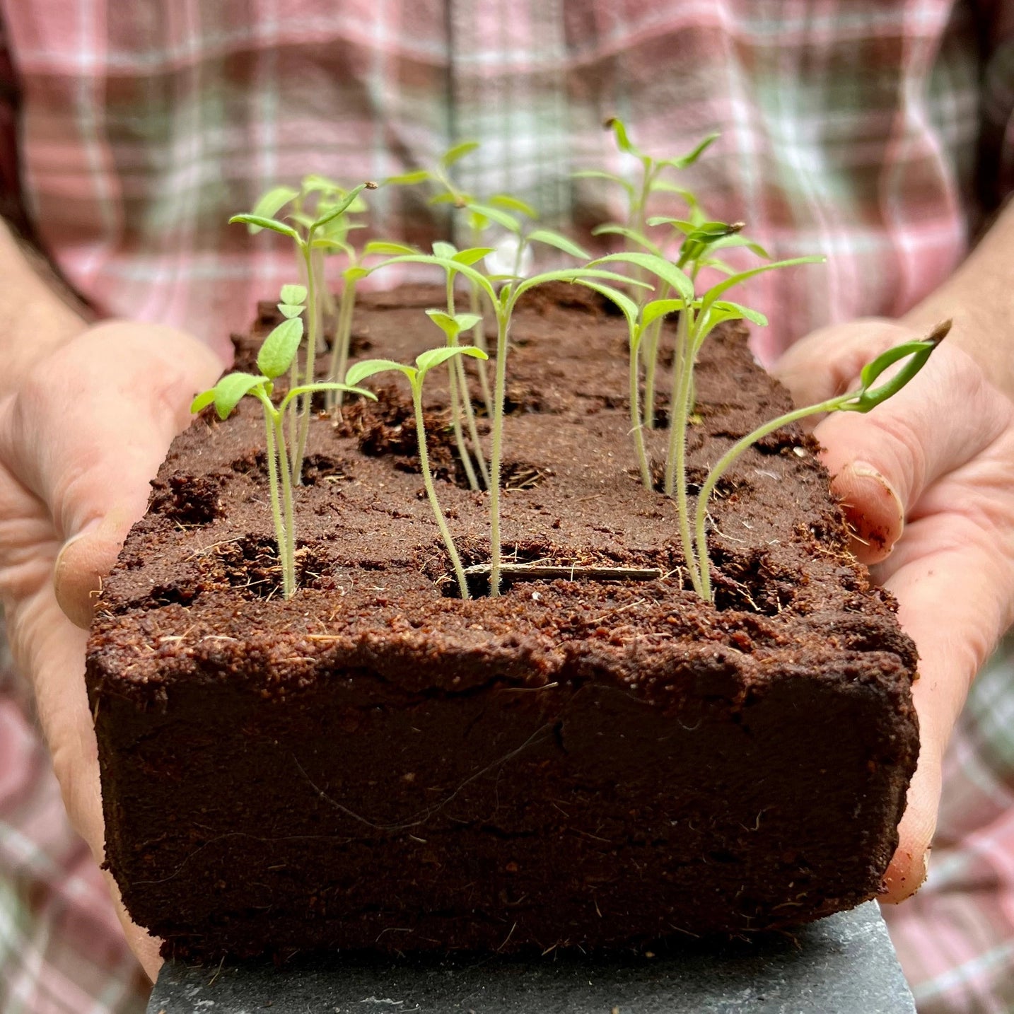 The Gin Grow Bar