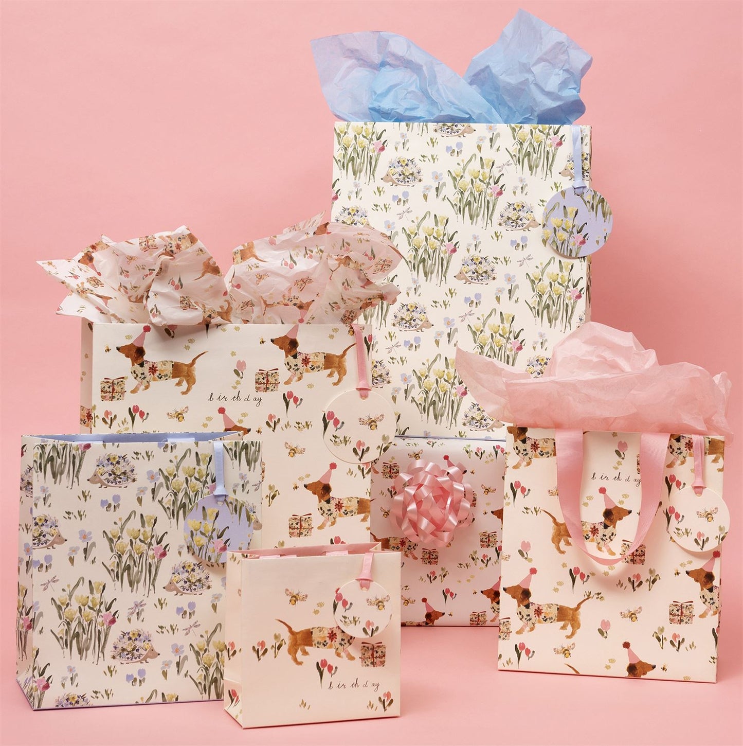 Sausage Dog Tissue Paper Four Sheets