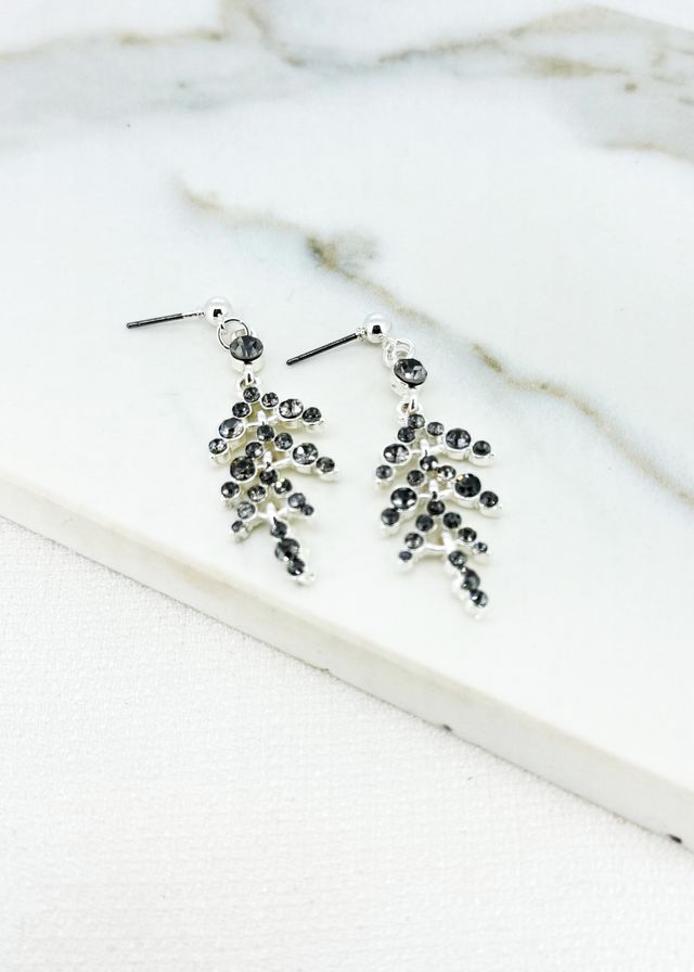 Envy Crystal Drop Earrings Silver