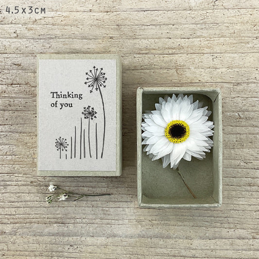 Dried Flower Matchbox Thinking of You