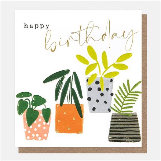 Happy Birthday Plant Pots Greetings Card
