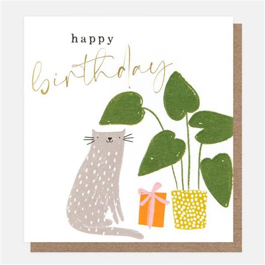 Happy Birthday Cat Greetings Card