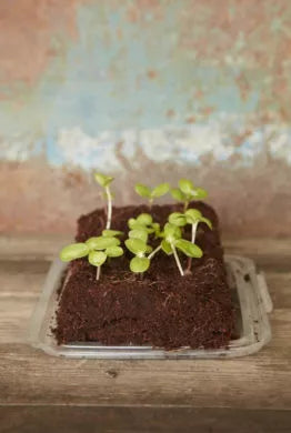 The Butterfly Grow Bar