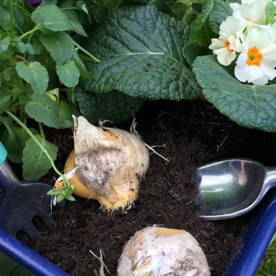 Tub & Container Hand Tool Set