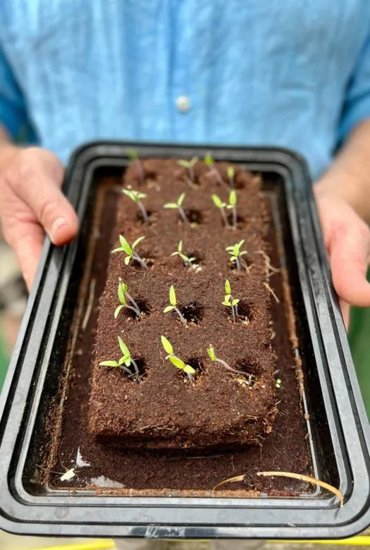 The Edible Flower Grow Bar