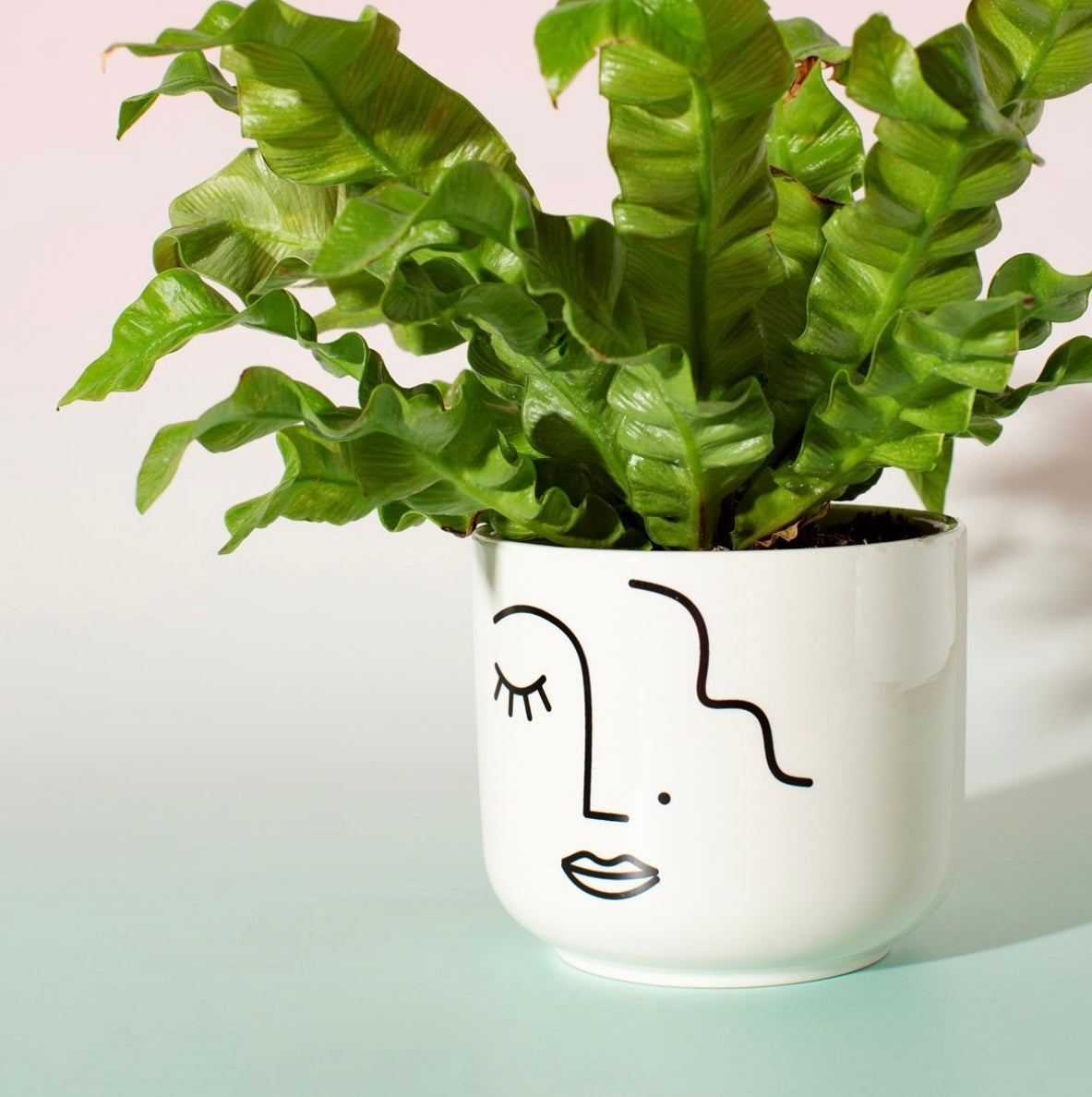 Abstract Face Large Planter
