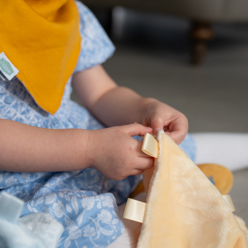 Duck Plush Comforter Blanket