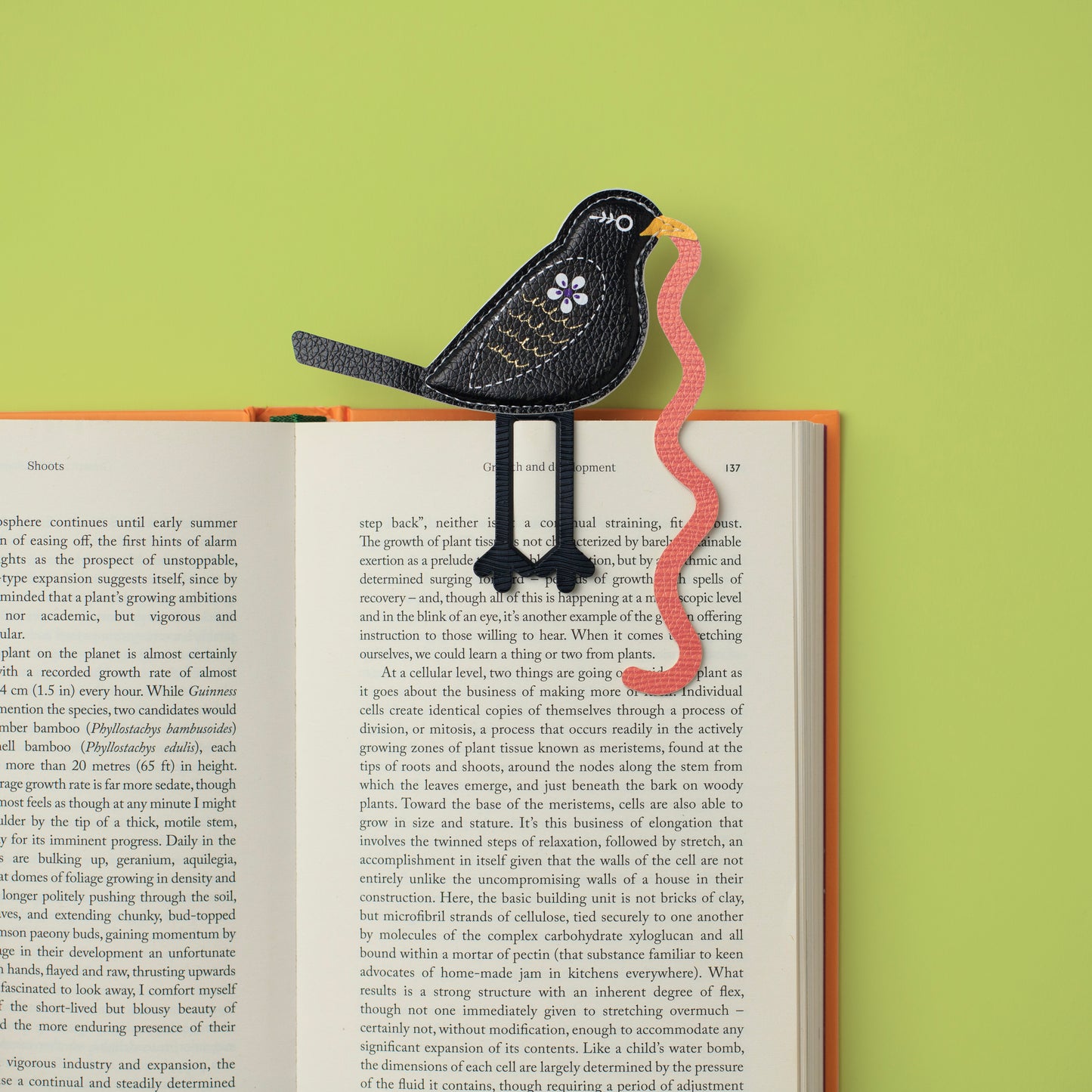 The Early Bird Bookmarks Blackbird