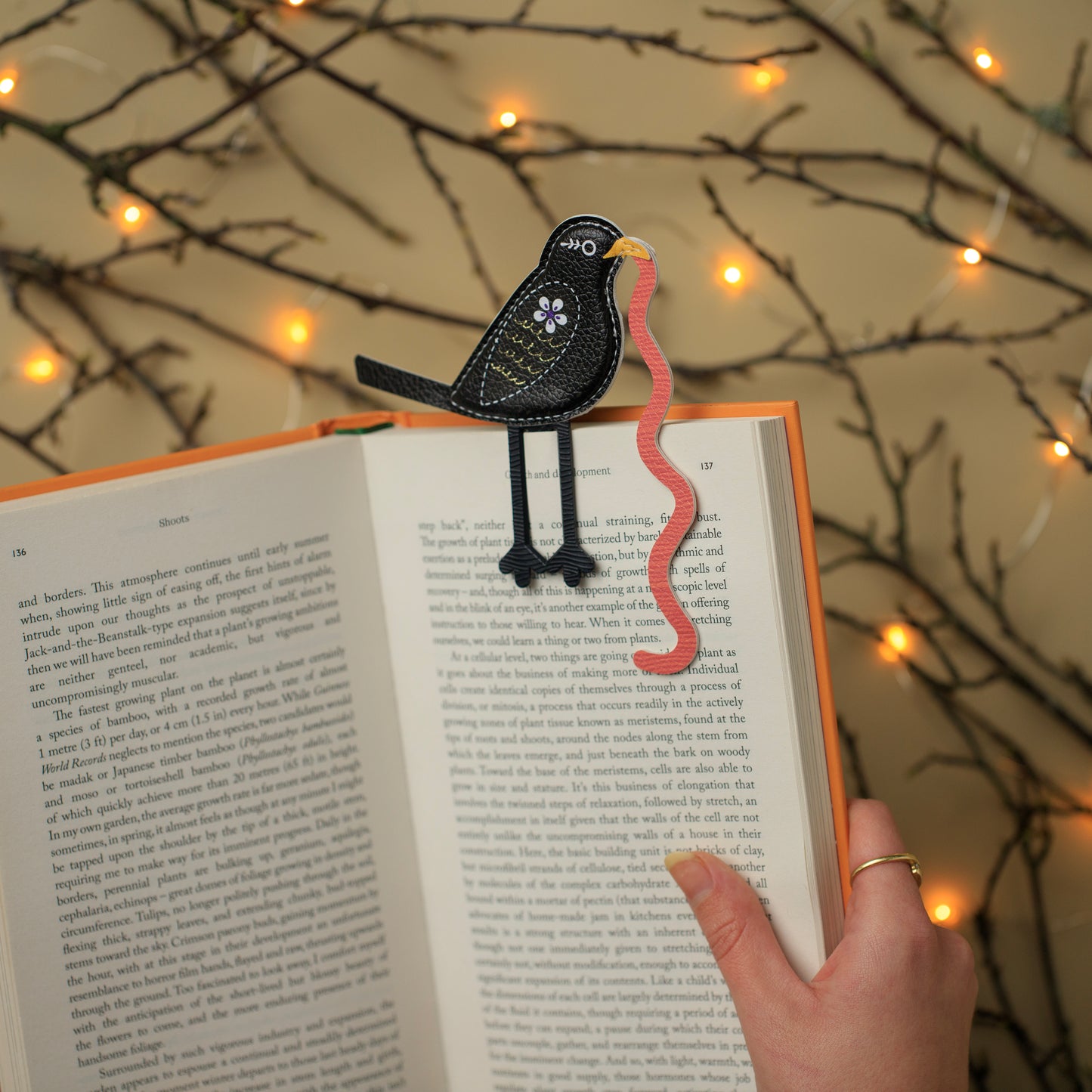 The Early Bird Bookmarks Blackbird