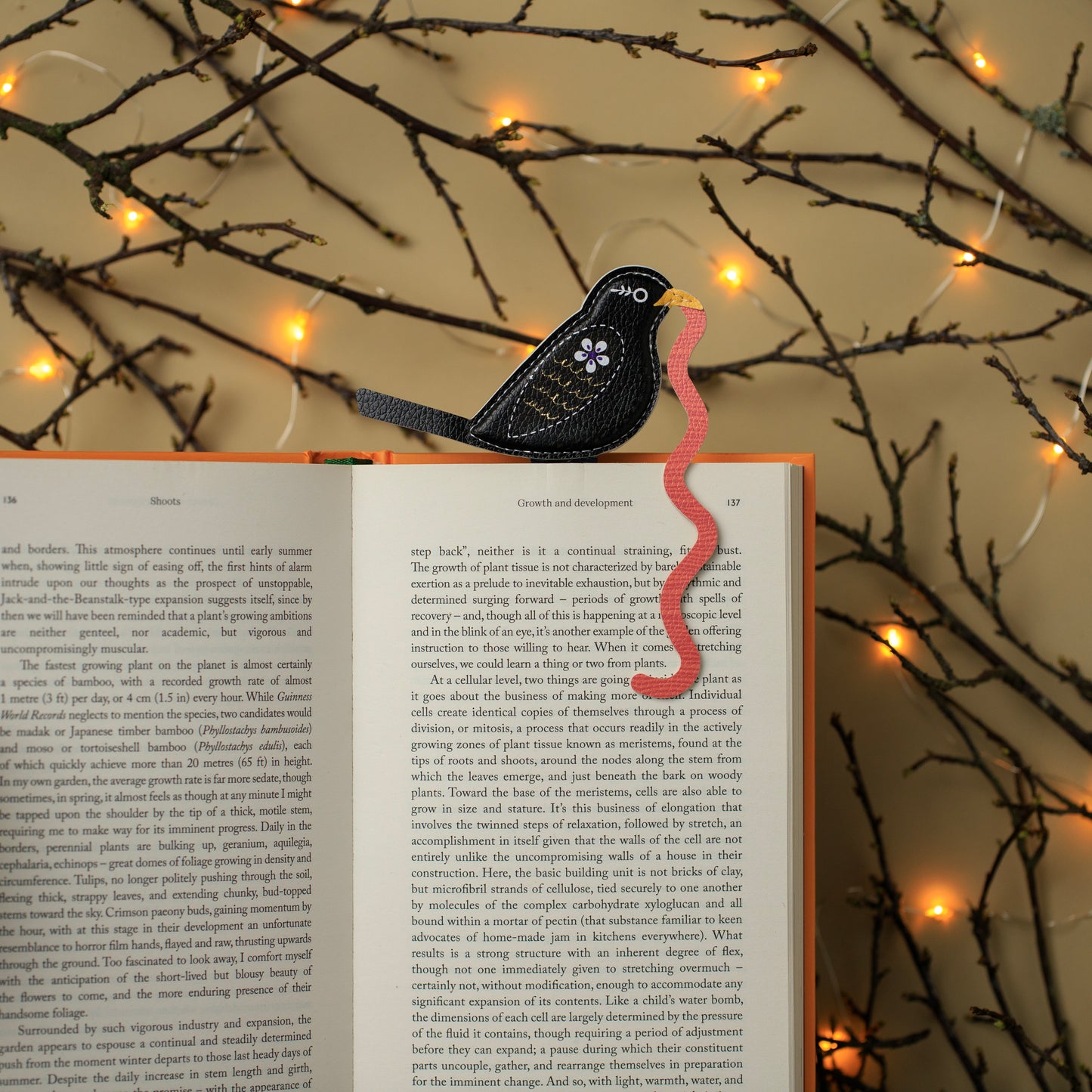 The Early Bird Bookmarks Blackbird