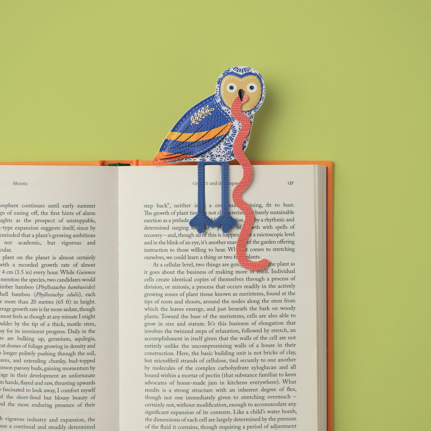 The Early Bird Bookmarks Owl