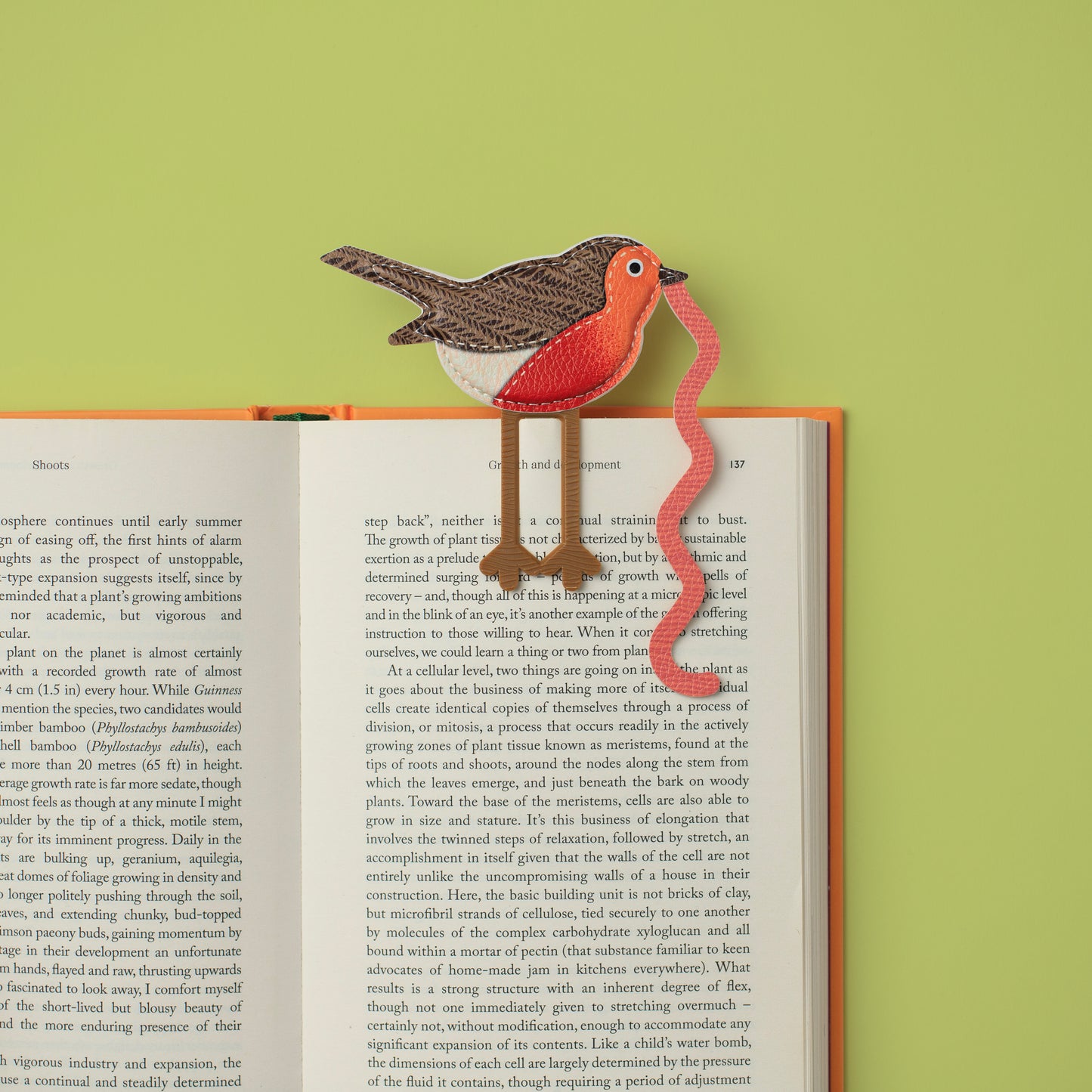 The Early Bird Bookmarks Robin