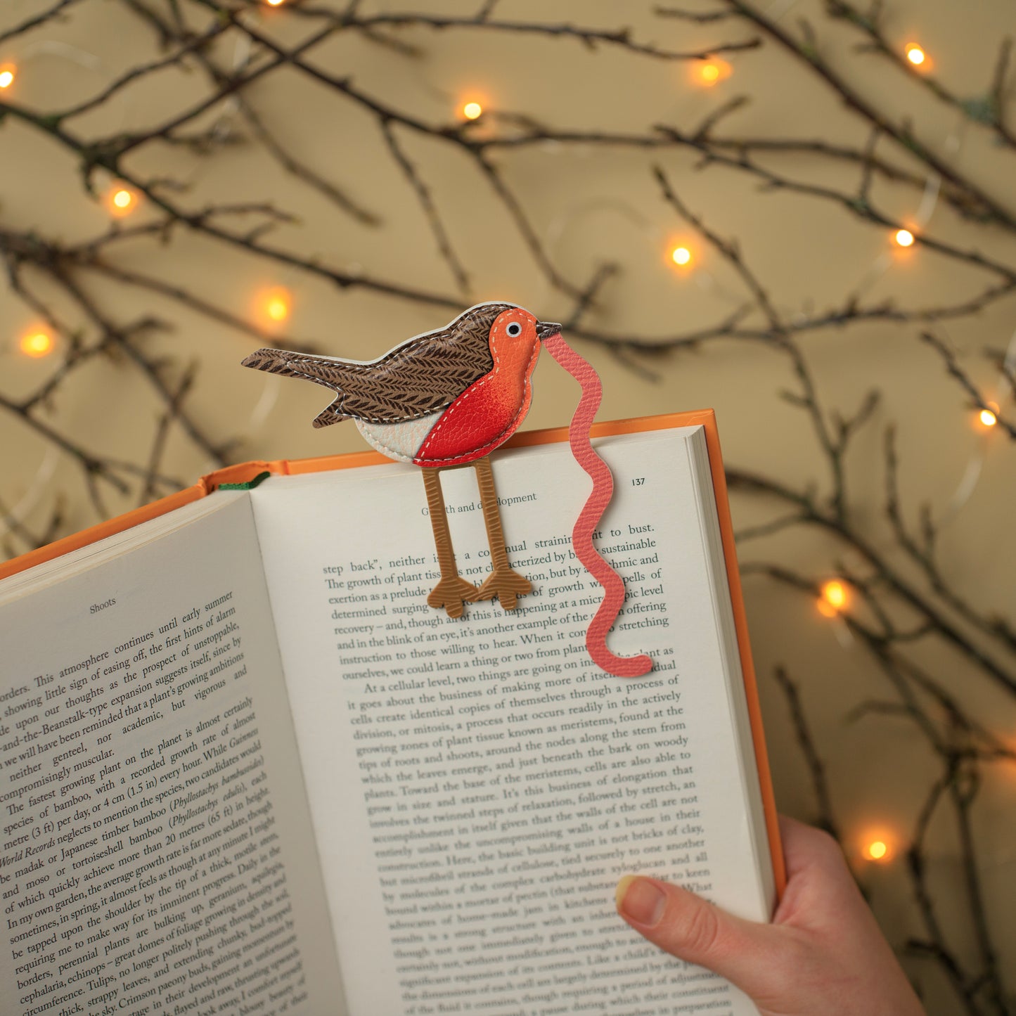 The Early Bird Bookmarks Robin