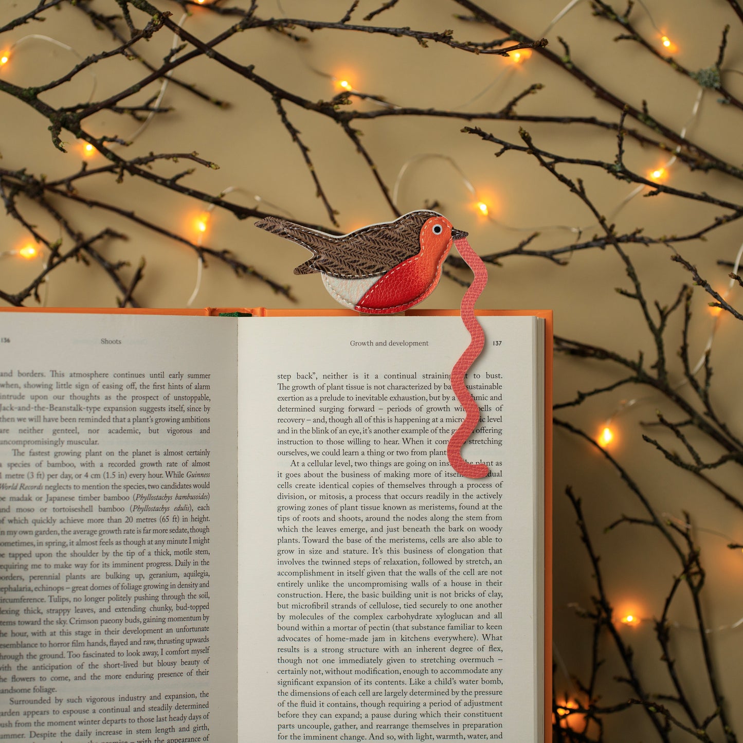 The Early Bird Bookmarks Robin