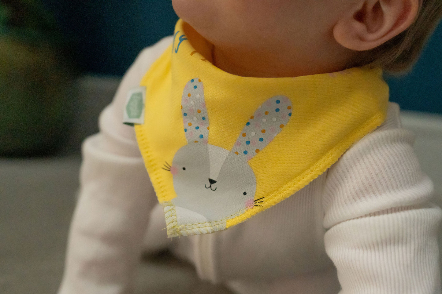 My First Easter Bib
