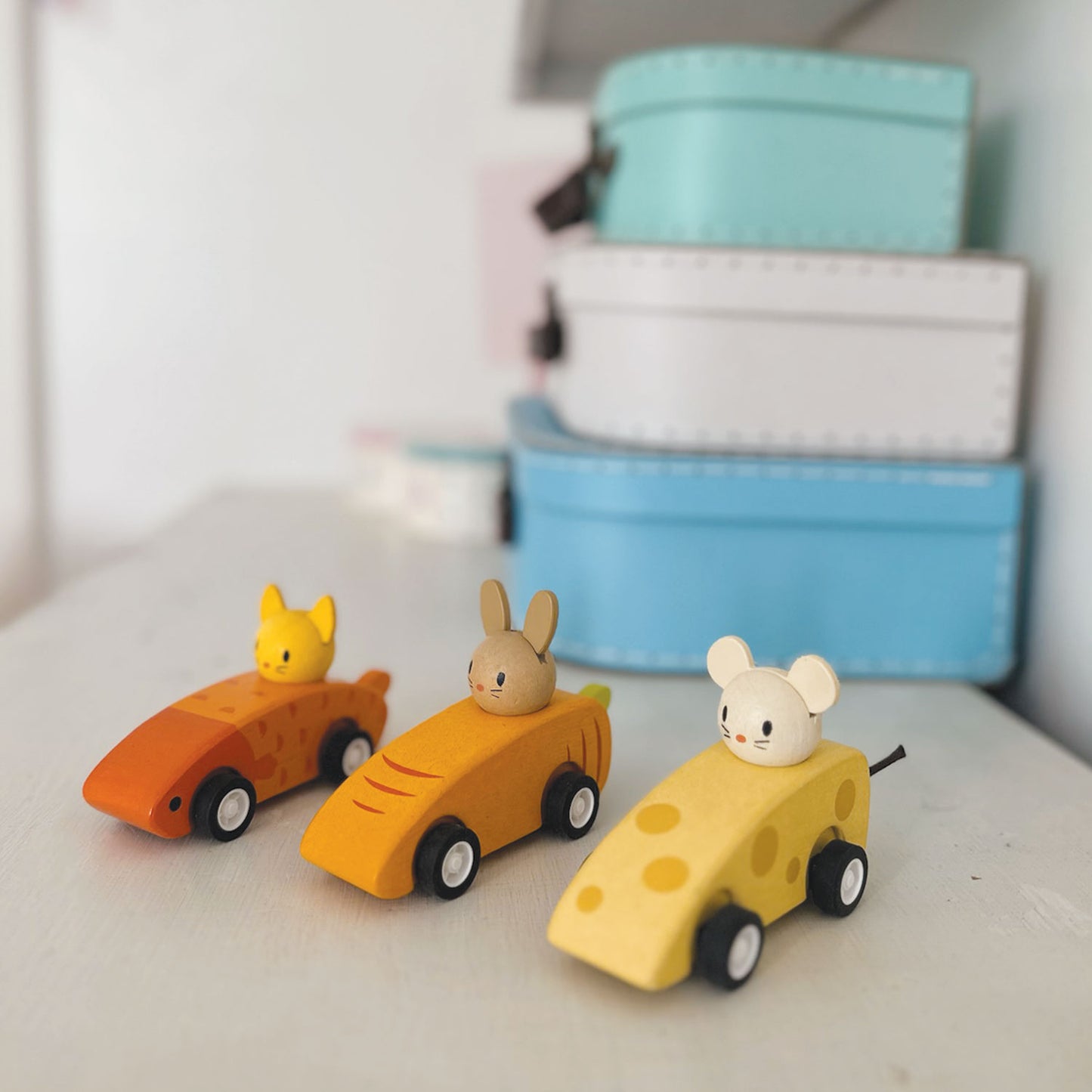 Animal Friends Racing Cars