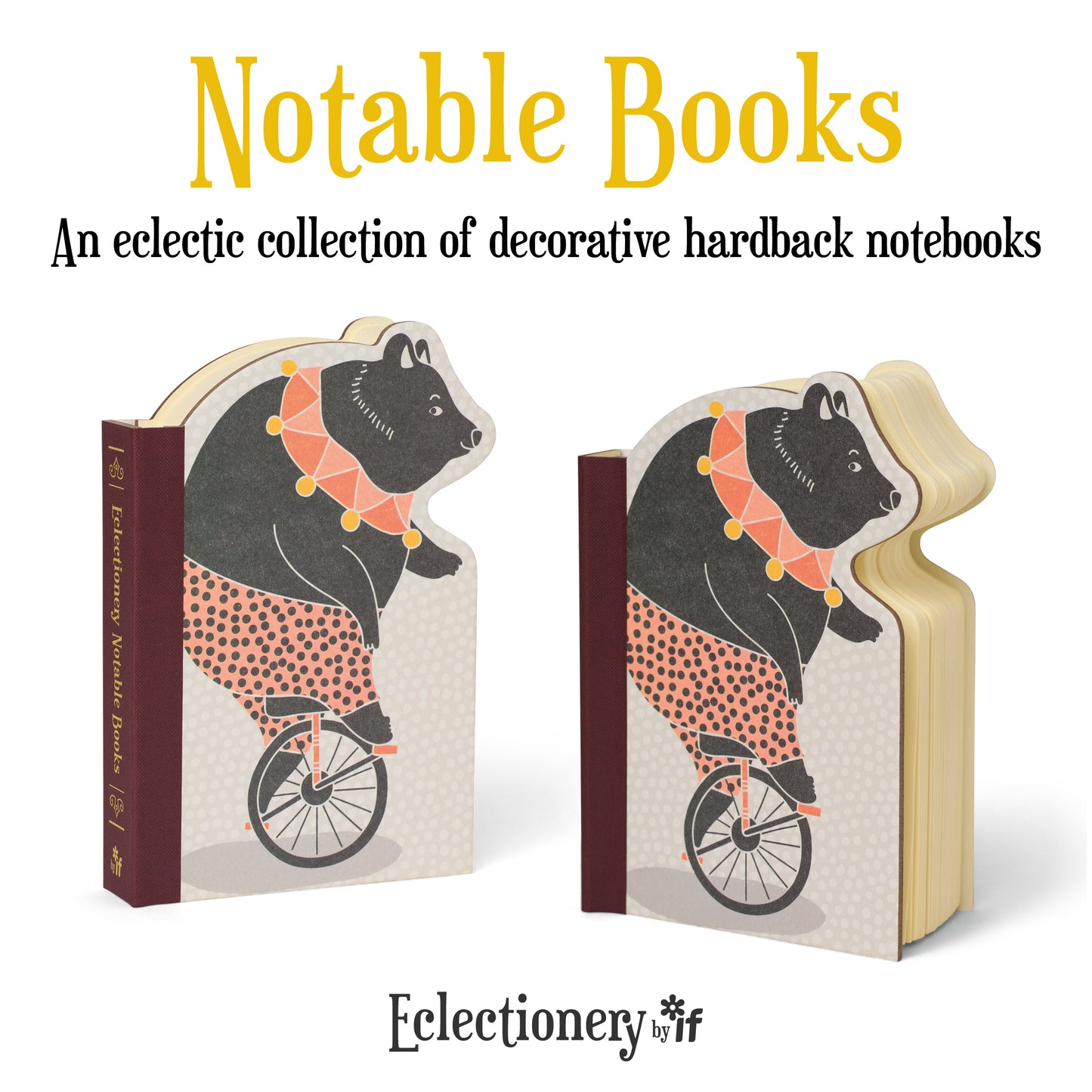 Eclectionary Note Book Bike Bear