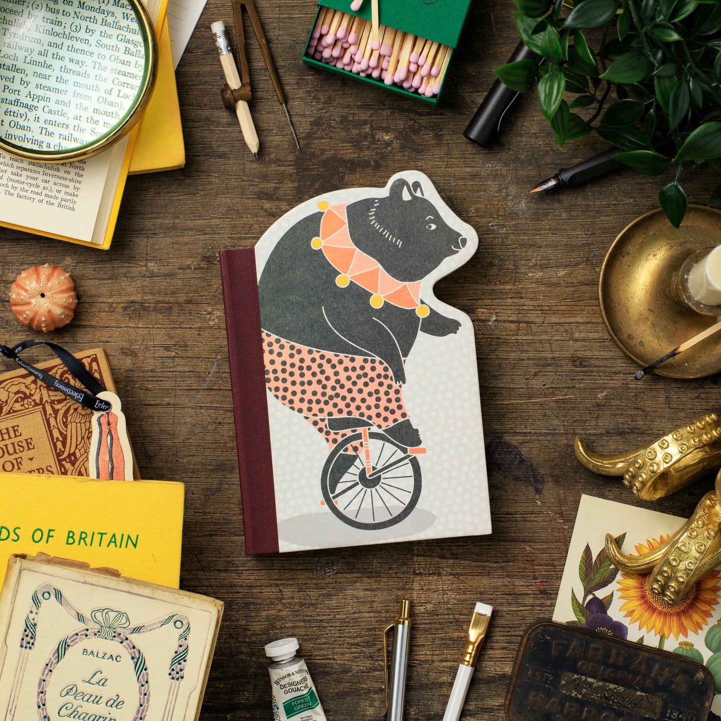 Eclectionary Note Book Bike Bear