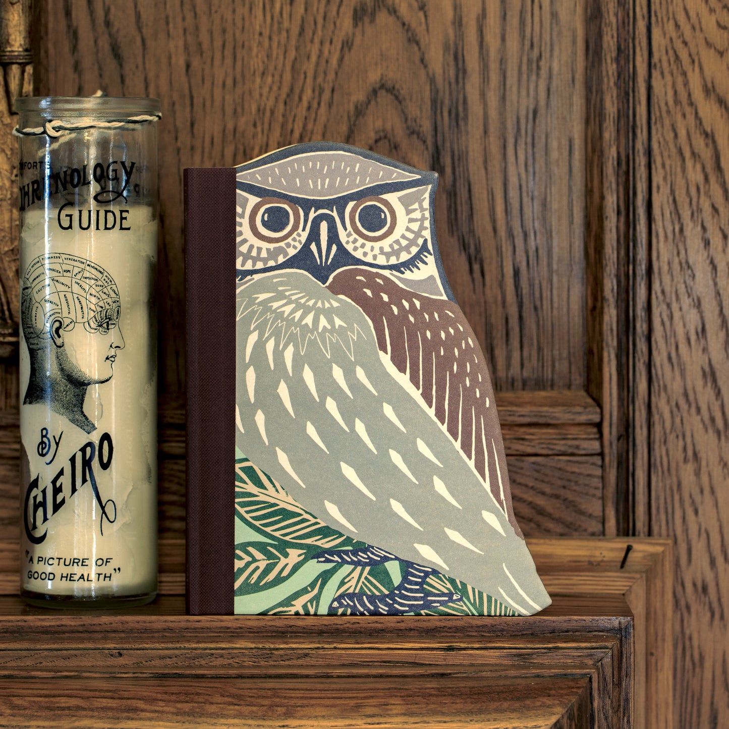 Eclectionary Note Book Owl