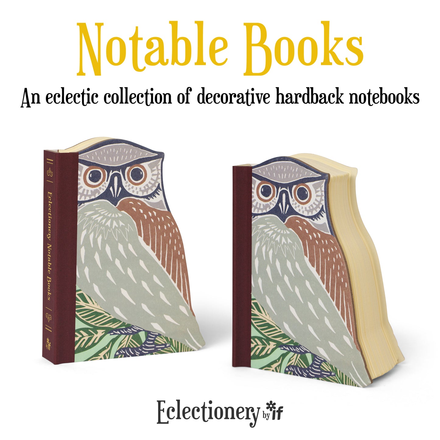 Eclectionary Note Book Owl