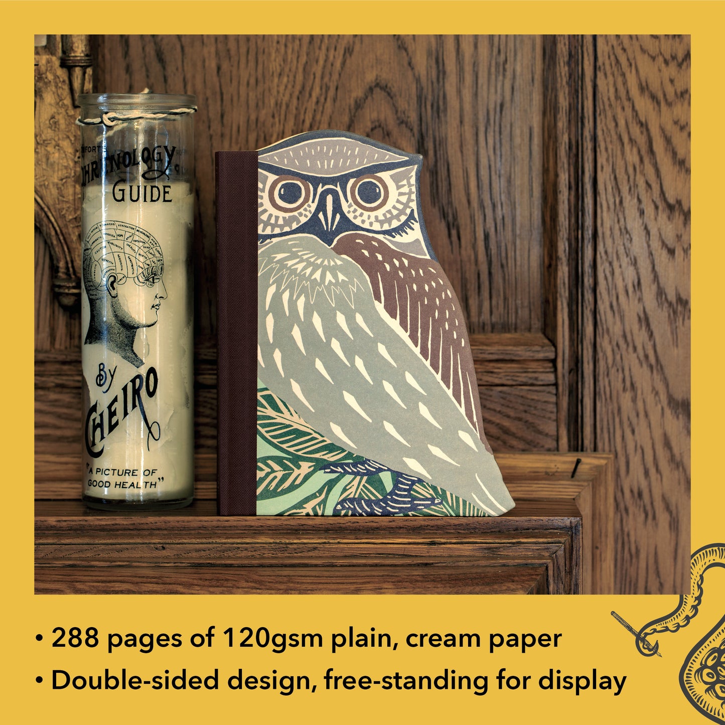 Eclectionary Note Book Owl