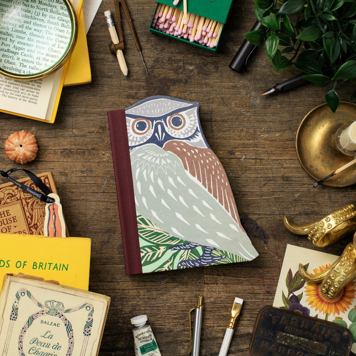 Eclectionary Note Book Owl