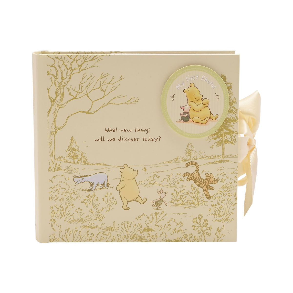 Winnie the Pooh Heritage Photo Album