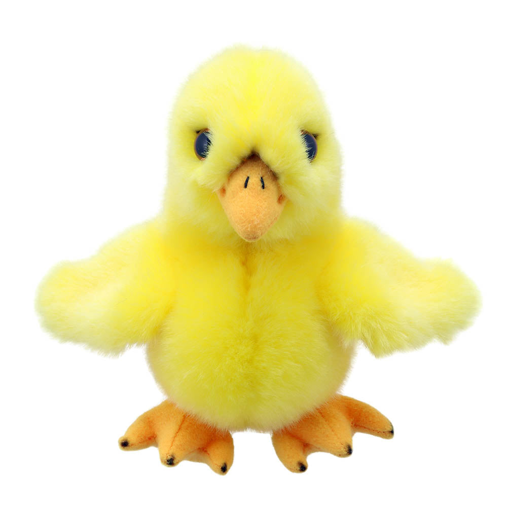 Wilberry Mini Border Chick