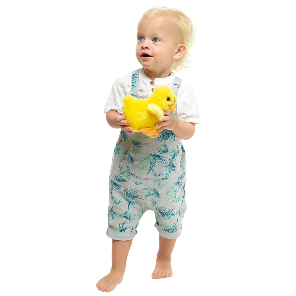 Wilberry Mini Border Chick