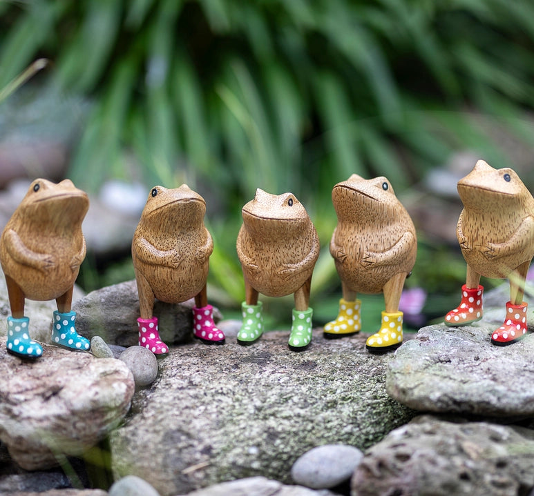 DCUK Jolly Frogs In Dotty Boots