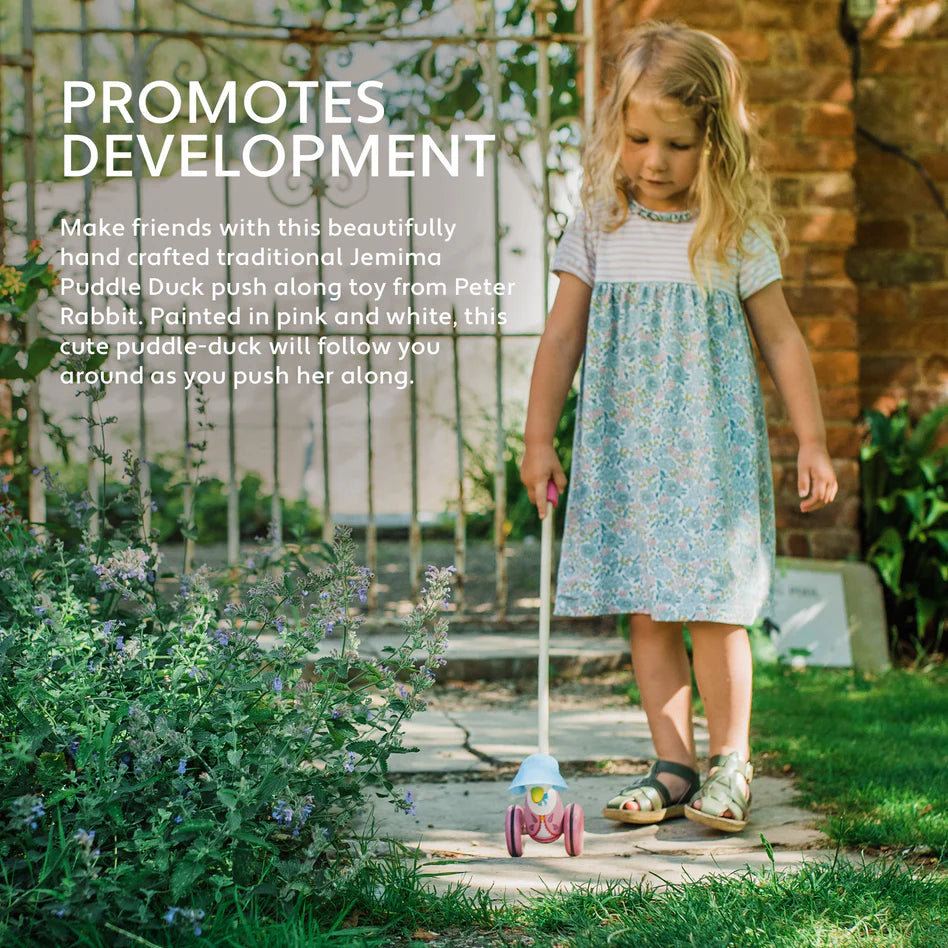 Jemima Puddle-Duck Push Along