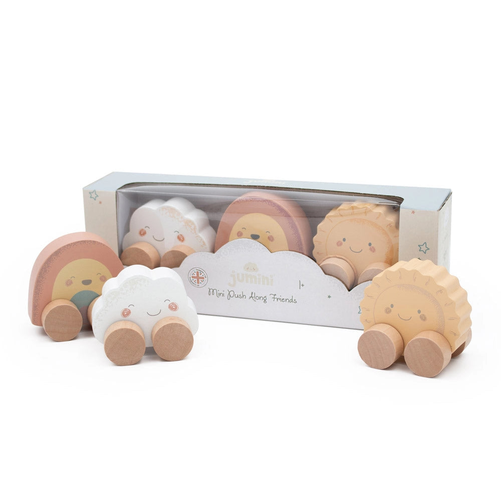 Mini Push Along Friends Set