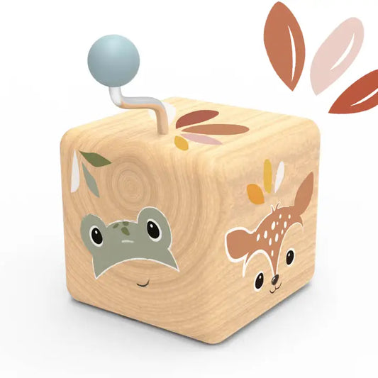 Speedy Monkey Wind Up Wooden Music Boxes Various Designs