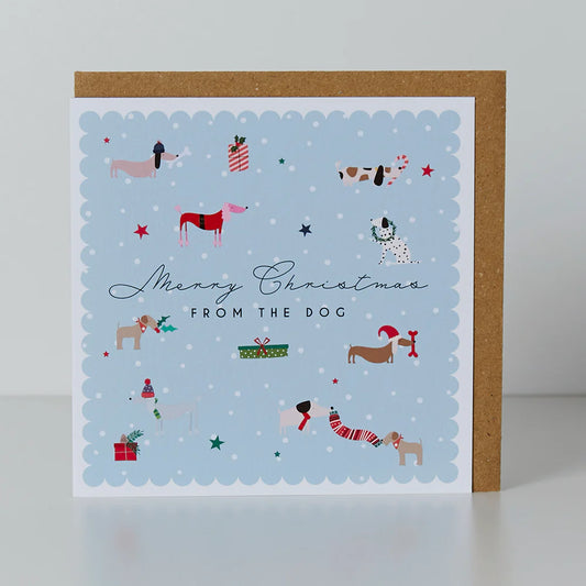 From The Dog Christmas Greetings Card