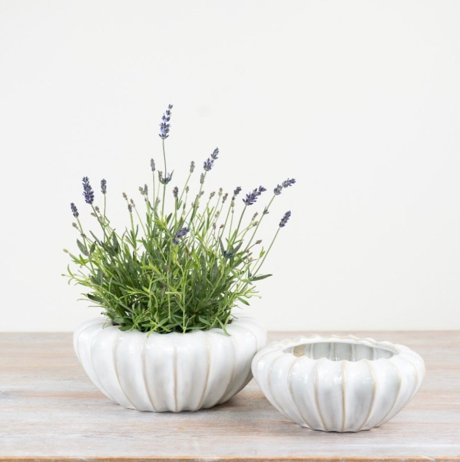 White Mika Pot