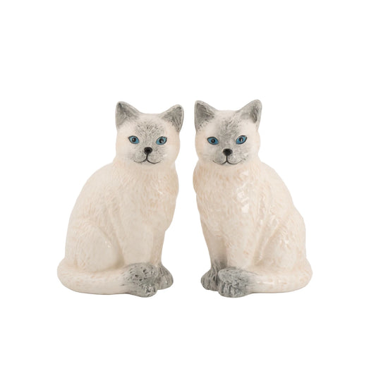 Ragdoll Cat Salt & Pepper Set